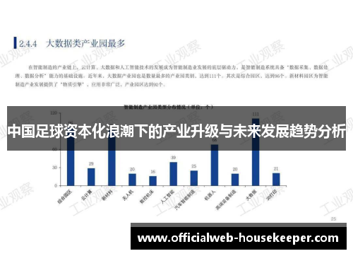 中国足球资本化浪潮下的产业升级与未来发展趋势分析